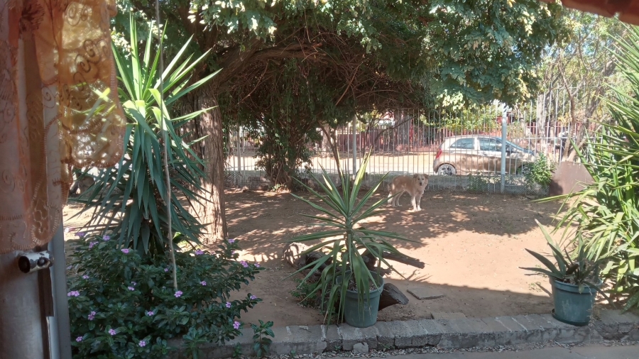 4 Bedroom Property for Sale in Ross Kent South Free State